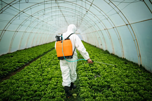 Best Mosquito Control Services  in Stony Prairie, OH