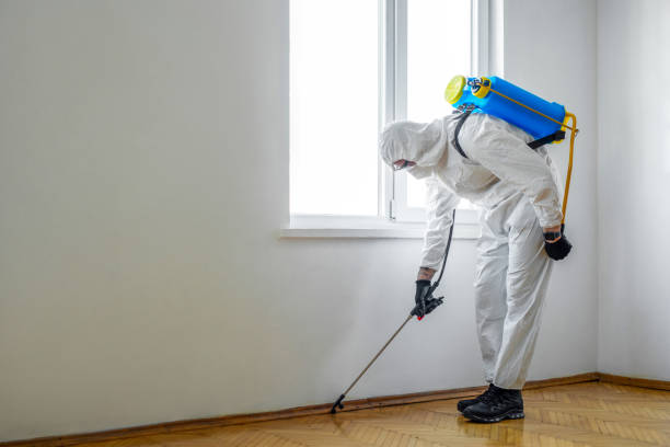 Best Flea Control Services  in Stony Prairie, OH