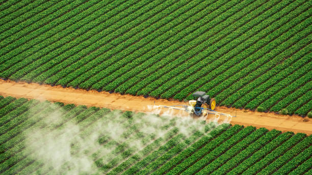 Best Pest Control for Businesses  in Stony Prairie, OH