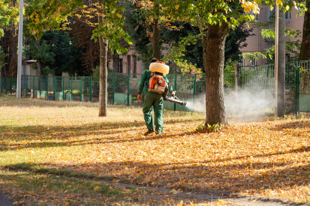 Best Rat Extermination Near Me  in Stony Prairie, OH