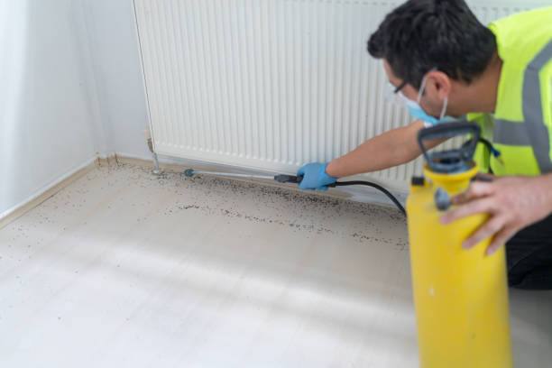 Best Commercial Pest Control Services  in Stony Prairie, OH